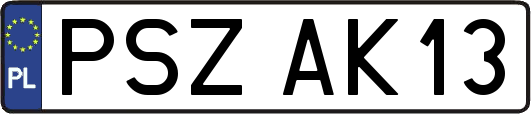 PSZAK13