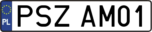 PSZAM01