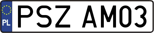 PSZAM03