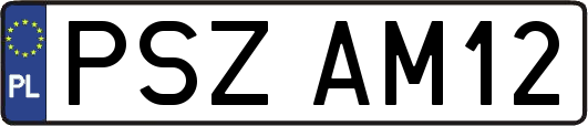 PSZAM12