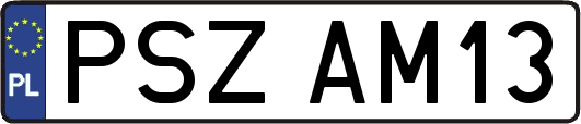PSZAM13