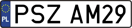 PSZAM29