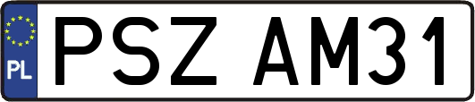 PSZAM31