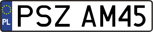 PSZAM45