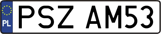 PSZAM53