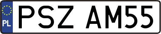 PSZAM55