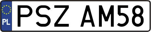 PSZAM58