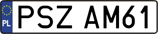 PSZAM61