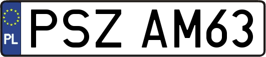 PSZAM63