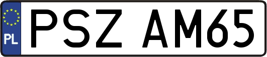 PSZAM65