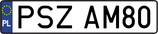 PSZAM80