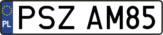 PSZAM85