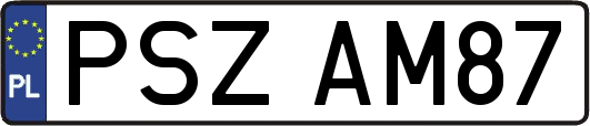 PSZAM87