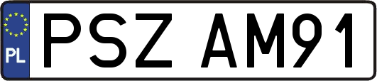 PSZAM91