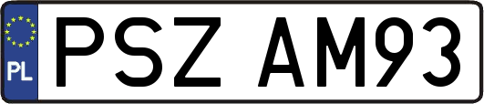 PSZAM93