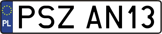 PSZAN13