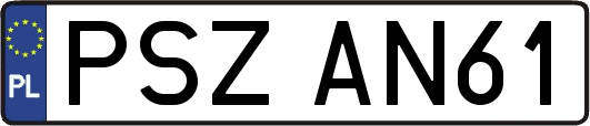 PSZAN61