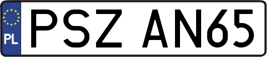 PSZAN65