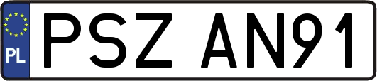 PSZAN91