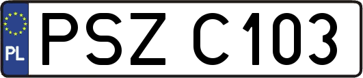 PSZC103