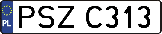 PSZC313