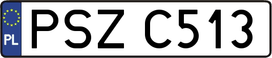 PSZC513