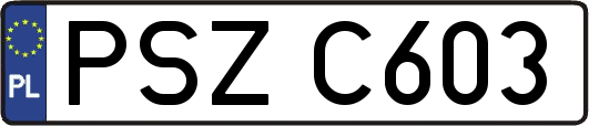 PSZC603