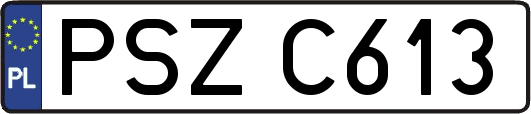 PSZC613
