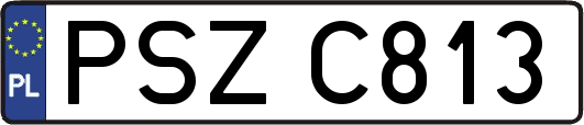 PSZC813