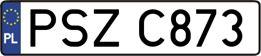 PSZC873