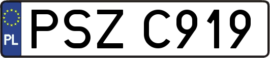 PSZC919