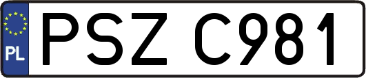 PSZC981
