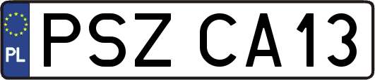 PSZCA13