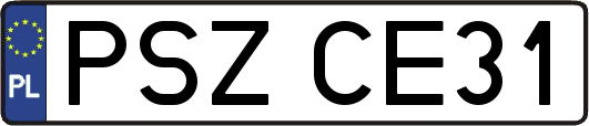 PSZCE31