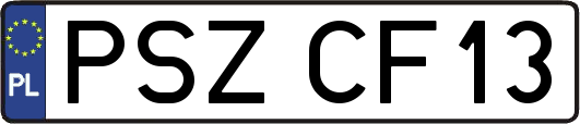 PSZCF13