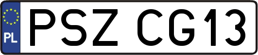 PSZCG13