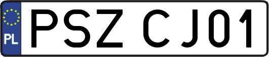 PSZCJ01