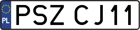 PSZCJ11