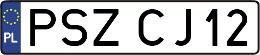 PSZCJ12
