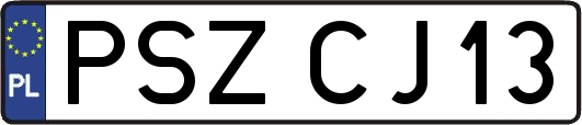 PSZCJ13