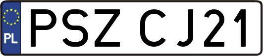 PSZCJ21