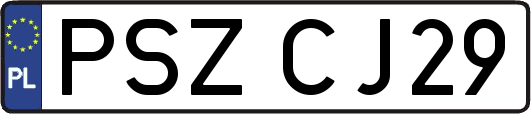 PSZCJ29