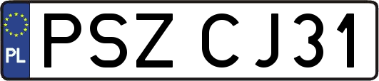 PSZCJ31