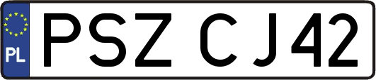 PSZCJ42