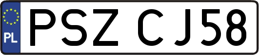 PSZCJ58