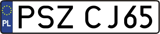 PSZCJ65