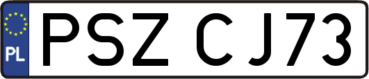 PSZCJ73