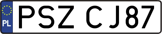PSZCJ87
