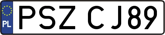 PSZCJ89