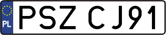 PSZCJ91
